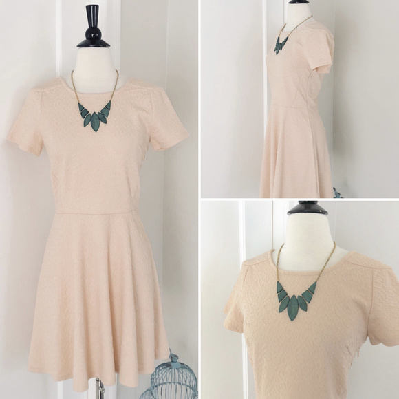 Pepaloves | Textured Blush Fit & Flare Dress - Picture 4 of 4